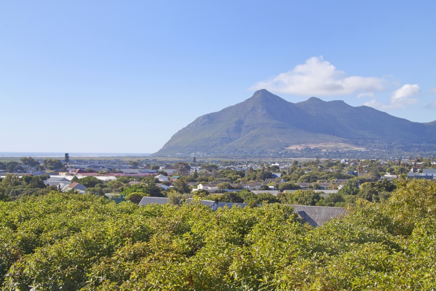 4 Bedroom Property for Sale in Capri Western Cape